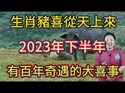 2023屬豬買房|【2023屬豬買房】2023年屬豬買房風水指南：財運逆天，投資置。